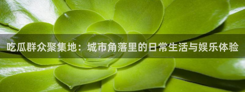 51cg1.ct吃瓜:吃瓜群众聚集地:城市角落里的日常生活与娱乐体验