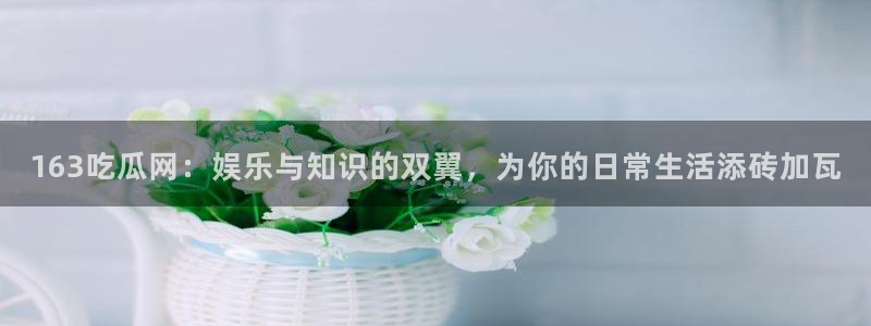 51吃瓜最新官网是多少:163吃瓜网:娱乐与知识的双翼,为你的日常生活添砖加瓦