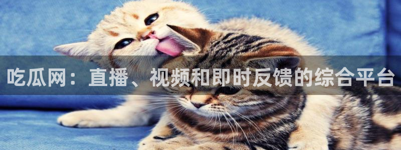ccgg.mob今日吃瓜:吃瓜网:直播、视频和即时反馈的综合平台